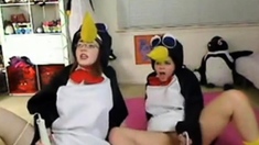 Teen Penguins On Cam